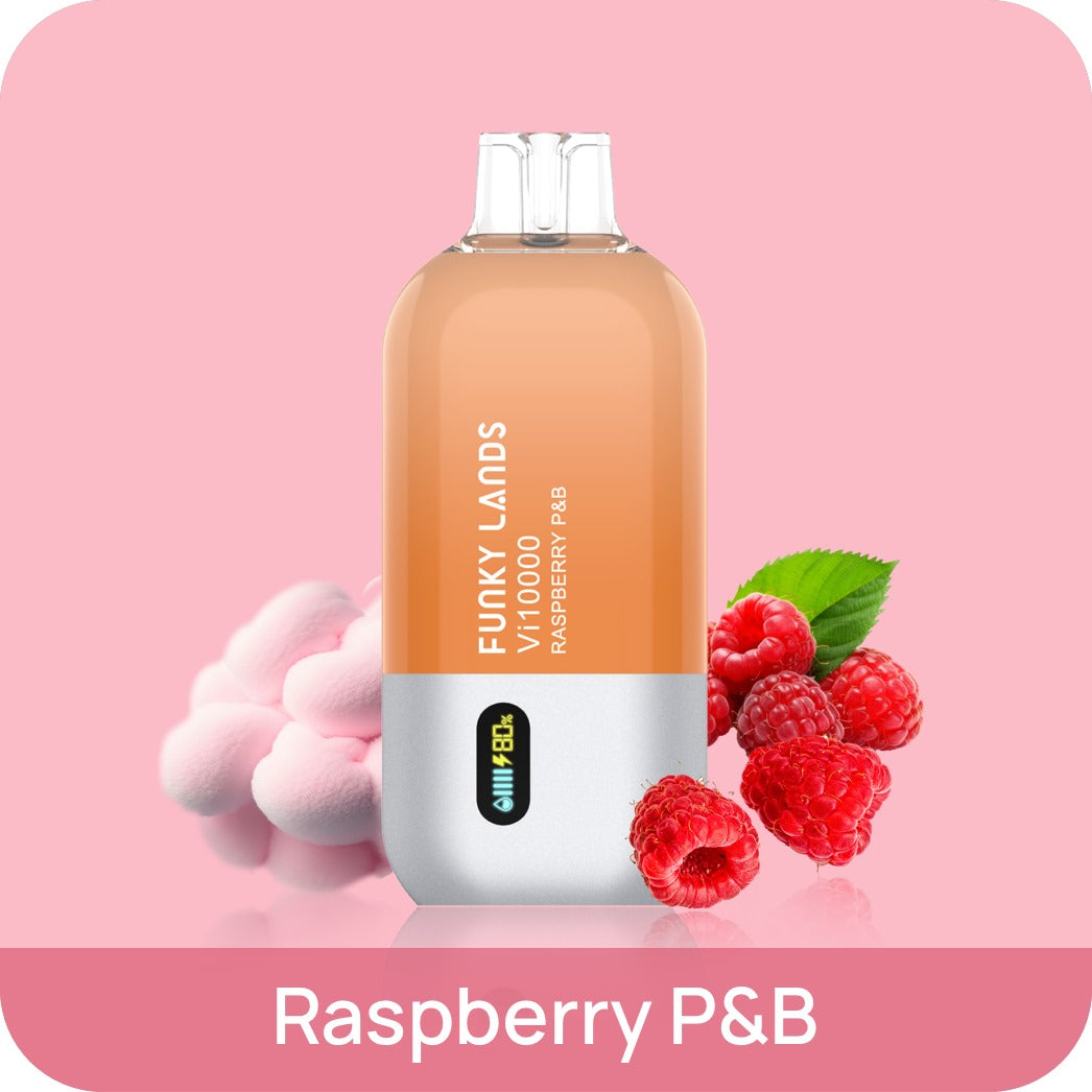 FUNKY LANDS Vi10000 RASPBERRY P&B 5% RECHARGEABLE