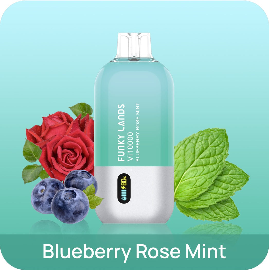 FUNKY LANDS Vi10000 BLUEBERRY ROSE MINT 5% WIEDERAUFLADBAR